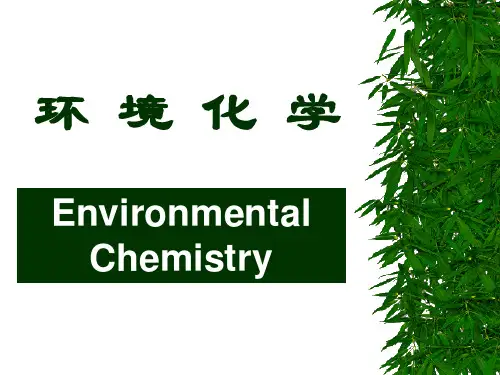 环 境 化 学PPT课件