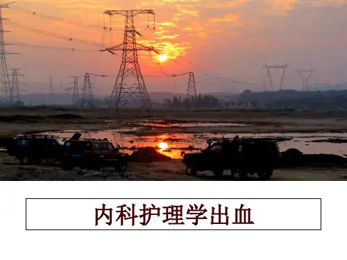 最新内科护理学出血讲学课件