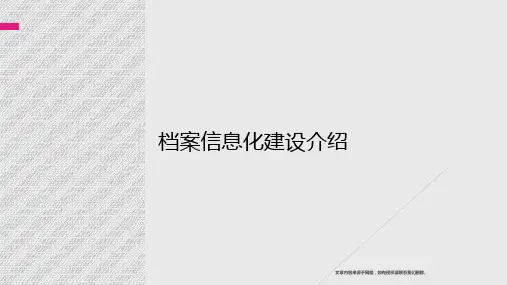 [精品PPT]档案信息化建设介绍