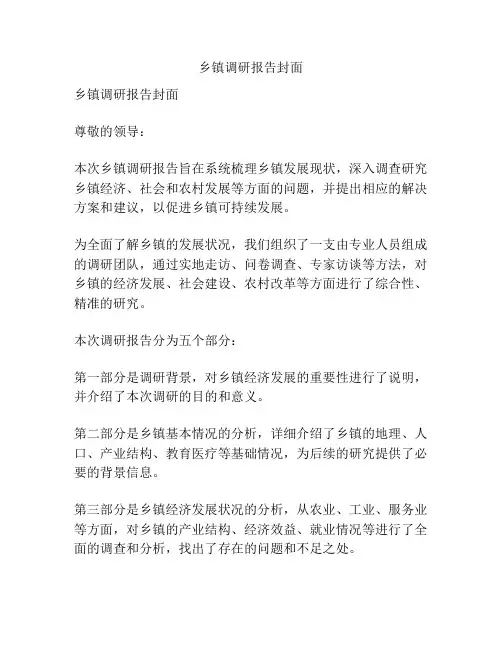 乡镇调研报告封面