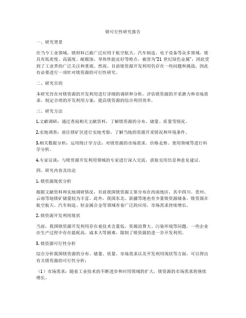 镁可行性研究报告