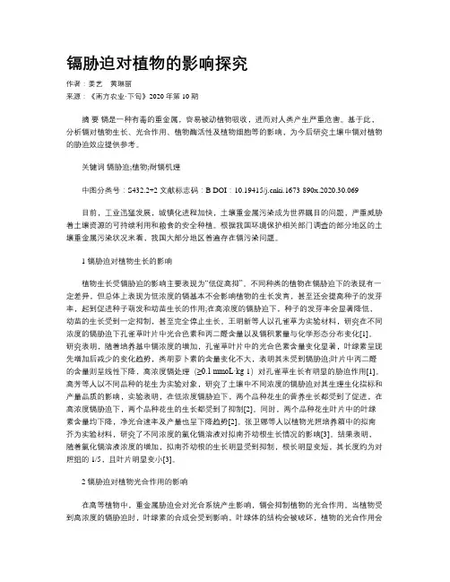 镉胁迫对植物的影响探究