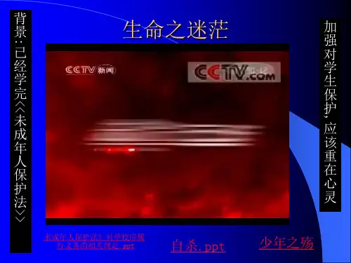生命教育讲授PPT