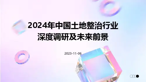 2024年中国土地整治行业深度调研及未来前景