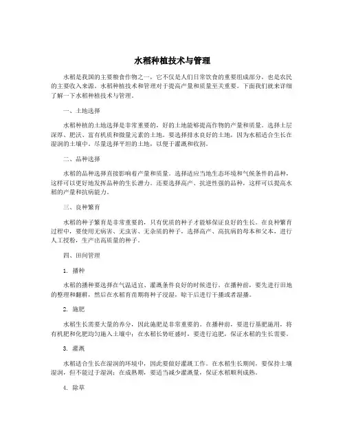水稻种植技术与管理