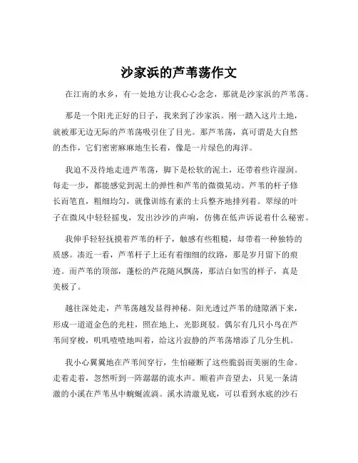 沙家浜的芦苇荡作文