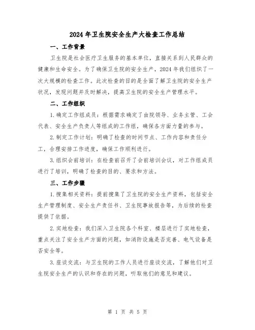2024年卫生院安全生产大检查工作总结(3篇)