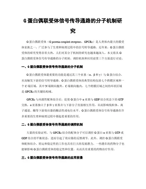 G蛋白偶联受体信号传导通路的分子机制研究
