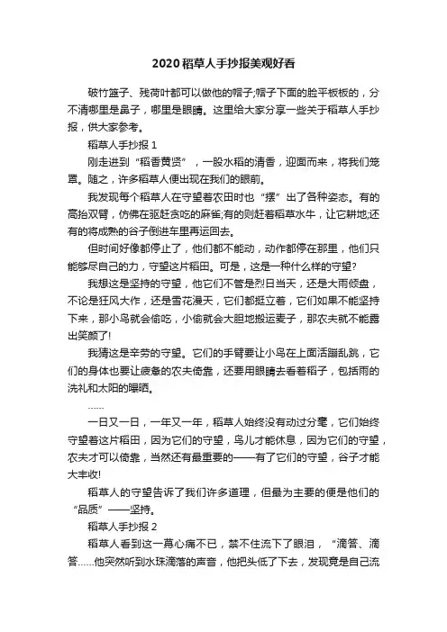2020稻草人手抄报美观好看