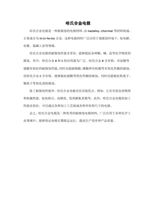哈氏合金电极