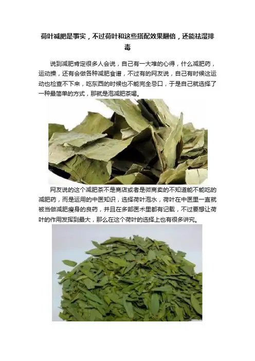 荷叶减肥是事实，不过荷叶和这些搭配效果翻倍，还能祛湿排毒