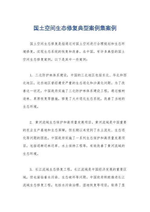 国土空间生态修复典型案例集案例