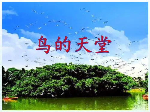 统编版五年级语文上册23鸟的天堂课件(共33张PPT)