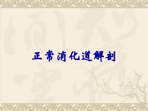正常消化道解剖