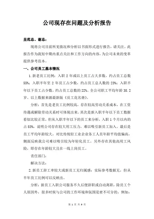 公司现存在问题及分析报告