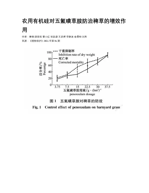 农用有机硅对五氟磺草胺防治稗草的增效作用