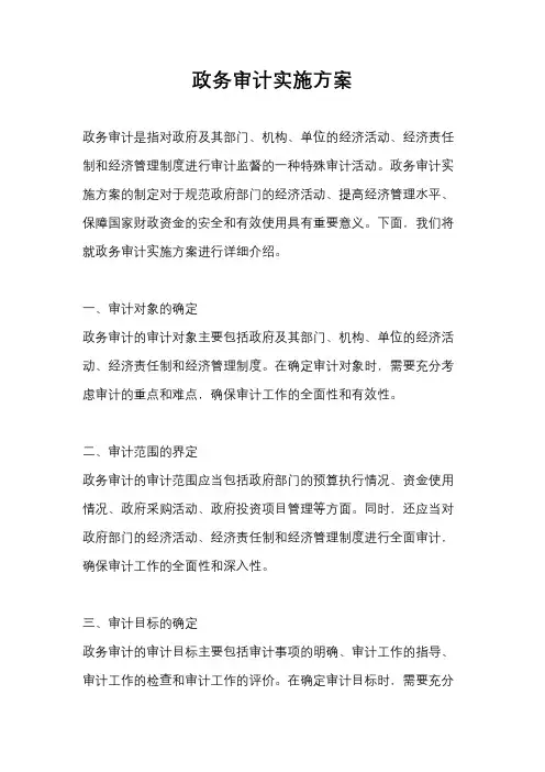 政务审计实施方案
