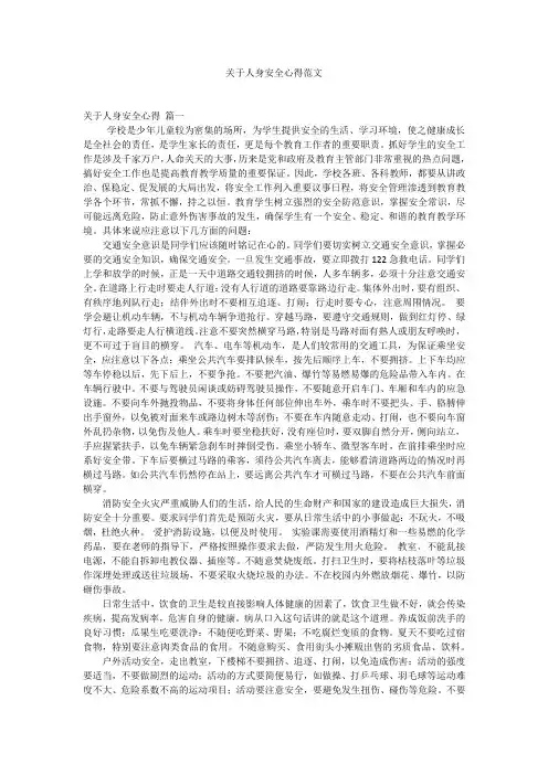 关于人身安全心得范文 