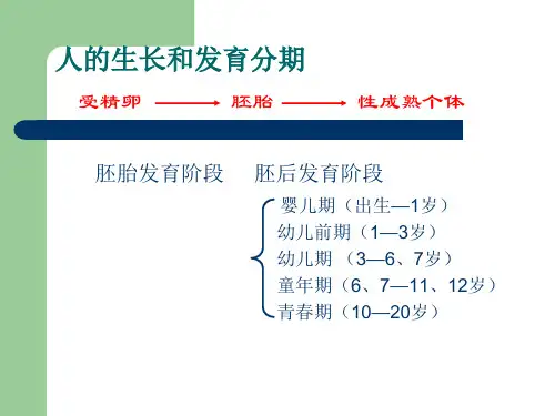 人的生殖发育PPT课件