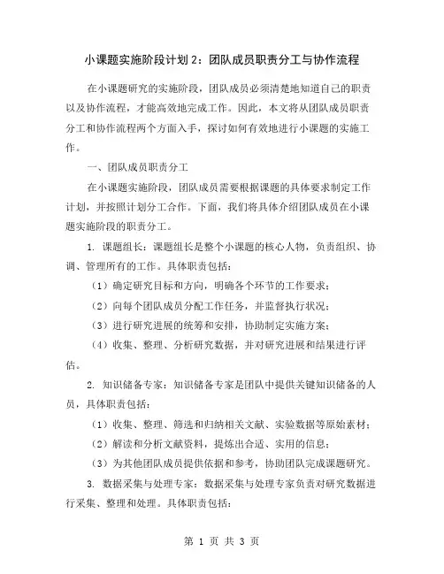 小课题实施阶段计划2：团队成员职责分工与协作流程