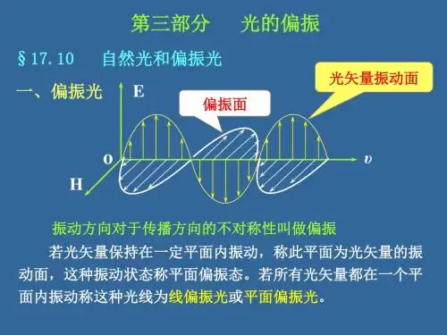 光的偏振