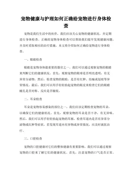 宠物健康与护理如何正确给宠物进行身体检查
