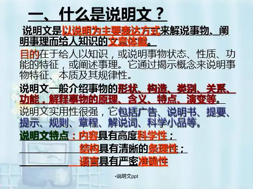说明文ppt