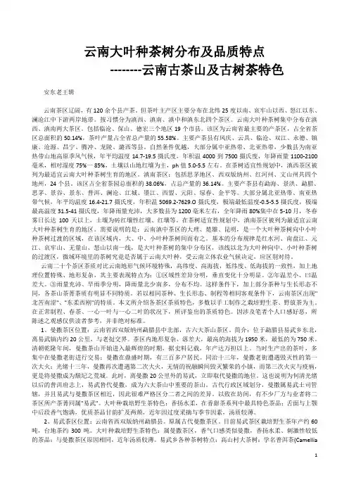 云南大叶种茶树分布及品质特点