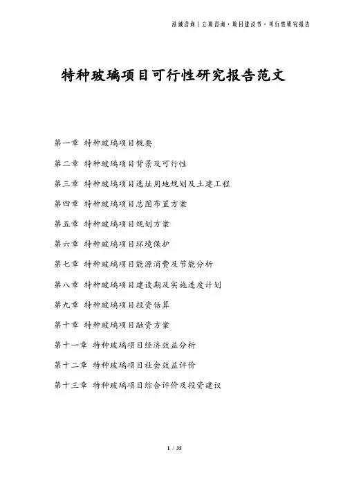 特种玻璃项目可行性研究报告范文