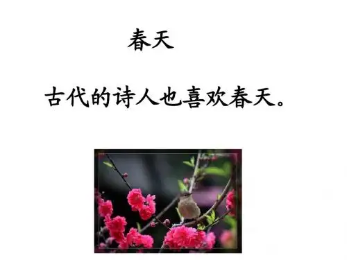 4、《春晓》