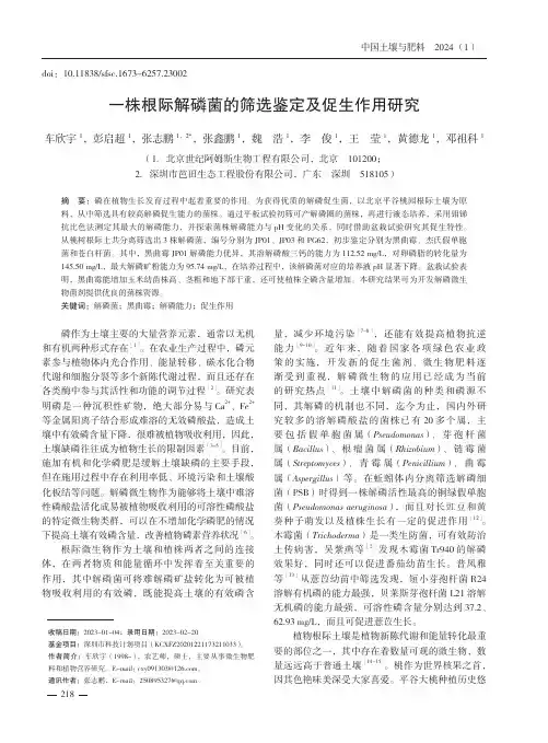 一株根际解磷菌的筛选鉴定及促生作用研究