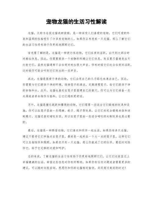 宠物龙猫的生活习性解读