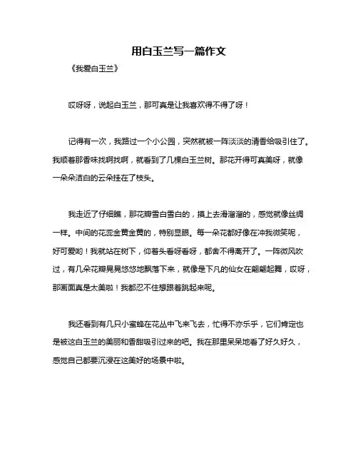 用白玉兰写一篇作文