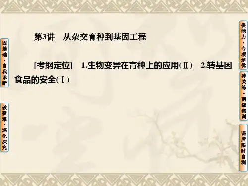 【课堂新坐标】2016新课标高考总复习高三生物一轮复习课件必修2第三单元 生物变异、育种和进化 第3讲