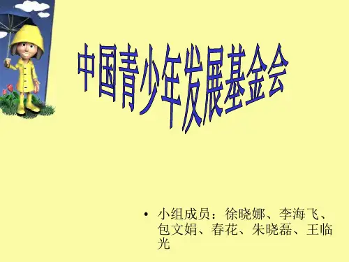 中国青少年发展基金会PPT课件