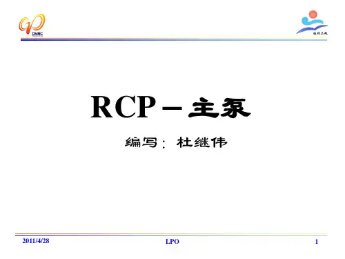 RCP主泵