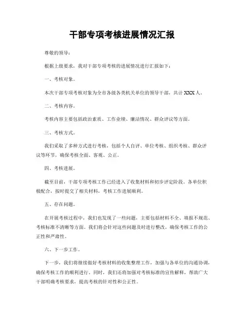干部专项考核进展情况汇报