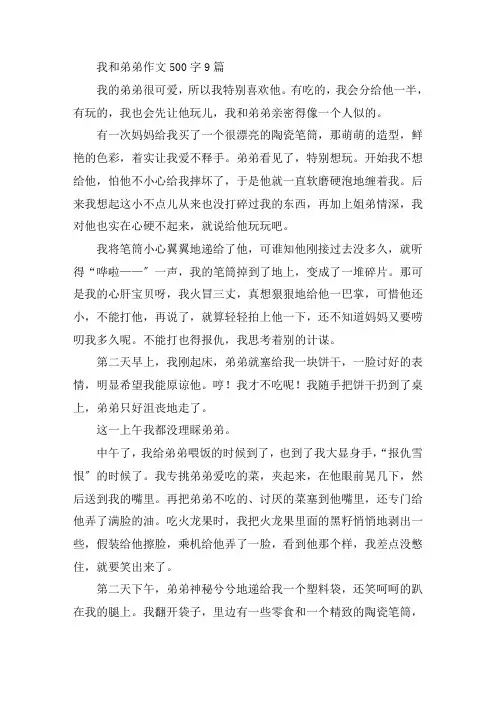 中小学我和弟弟作文500字9篇