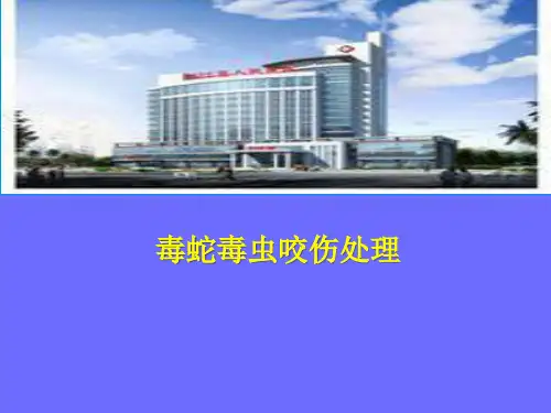 毒蛇毒虫咬伤处理PPT课件