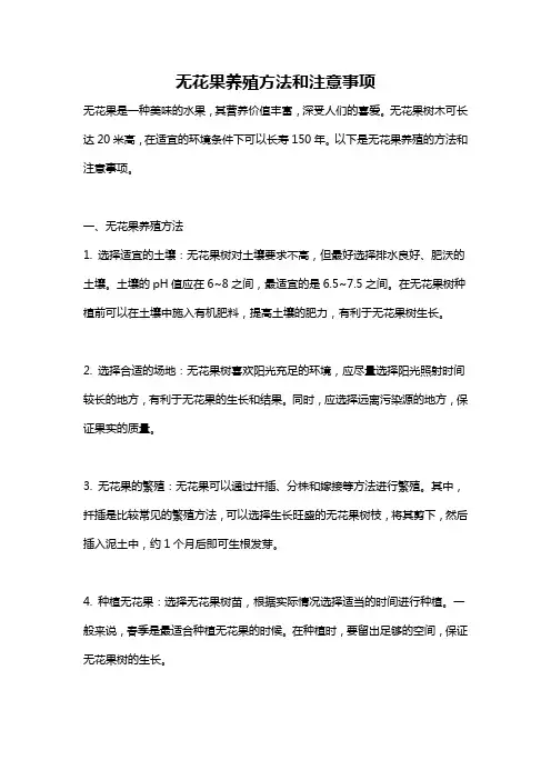 无花果养殖方法和注意事项