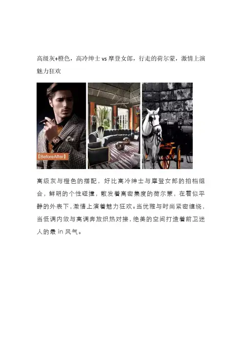 建筑室内设计专业《高级灰+橙色,时尚摩登软装色彩设计》