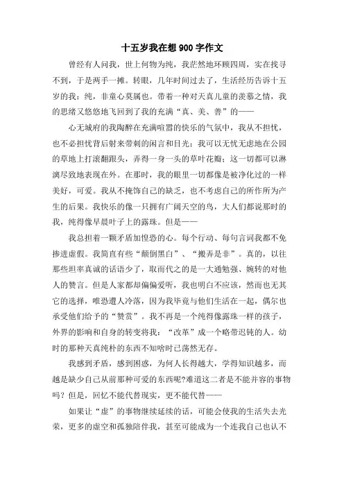 十五岁我在想900字作文
