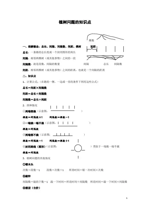 植树问题知识点