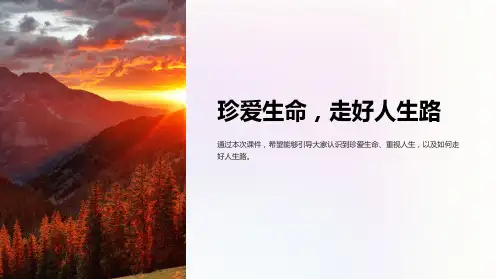 主题班会课件：珍爱生命,走好人生路