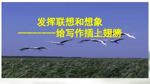 第六单元写作 发挥联想和想象课件人教部编版语文七年级上册