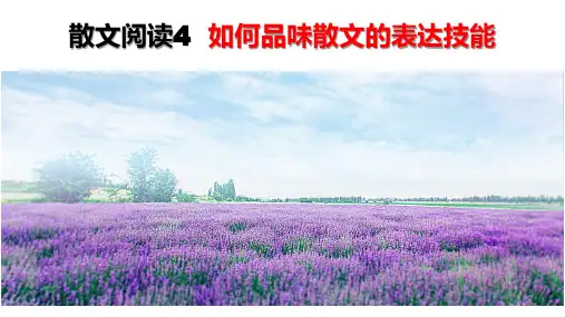 高考散文专题阅读指导：如何品味散文的表达技巧课件