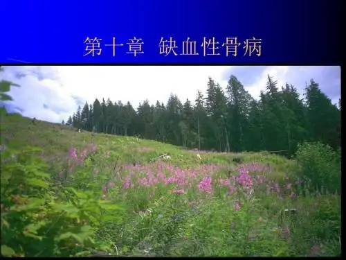 缺血性骨病x线表现