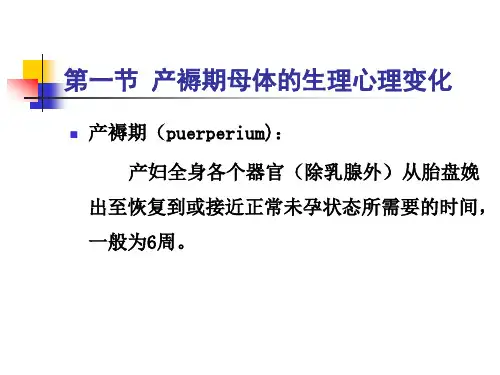 妇产科护理学PPT课件第5章正常产褥期妇女的护理