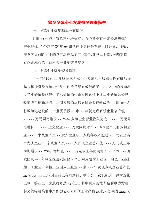 2019年家乡乡镇企业发展情况调查报告