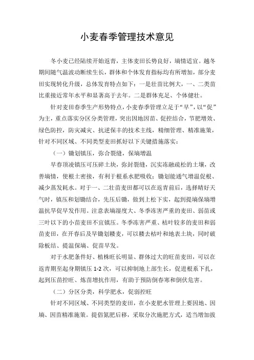 农业生产小麦春季管理技术意见